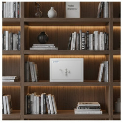 Coffre fort ignifuge - Serrure à clé + combinaison mécanique - HARTMANN MB030 G2